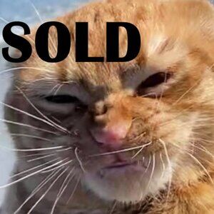 qty 3 lot of iron on t shirt Kellogg's cereal character art